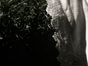DSC00167