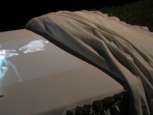 DSC00179