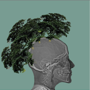 punk tree1
